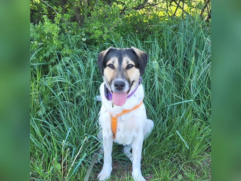 Bella wünscht sich ein eigenes Zuhause