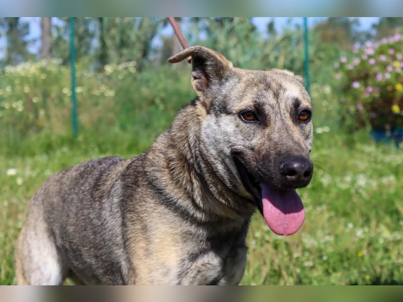 Jennifer – ein liebes Mädchen