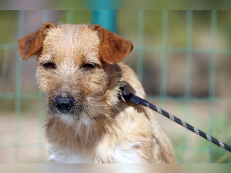 Ruggine – ein Seelchen