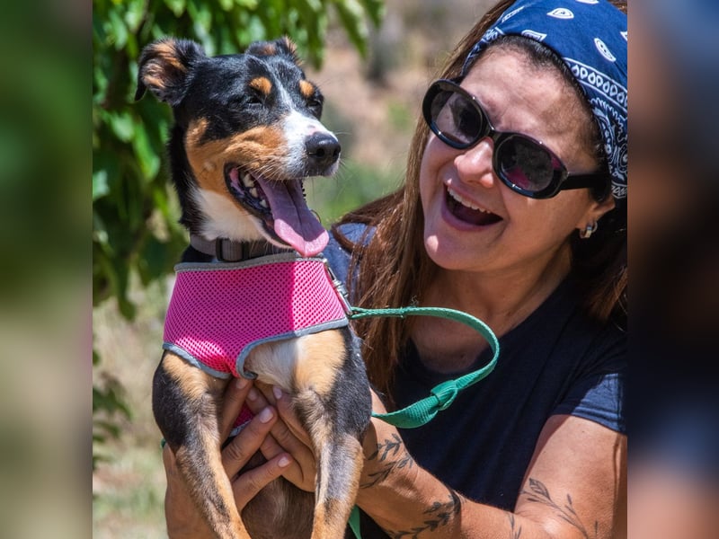 Vicky - bereit für ein neues Kapitel Vicky - bereit für ein neues Kapitel