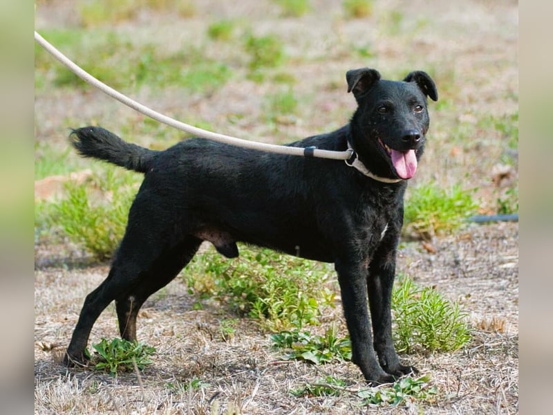 Matteus – ein sanfter Begleiter