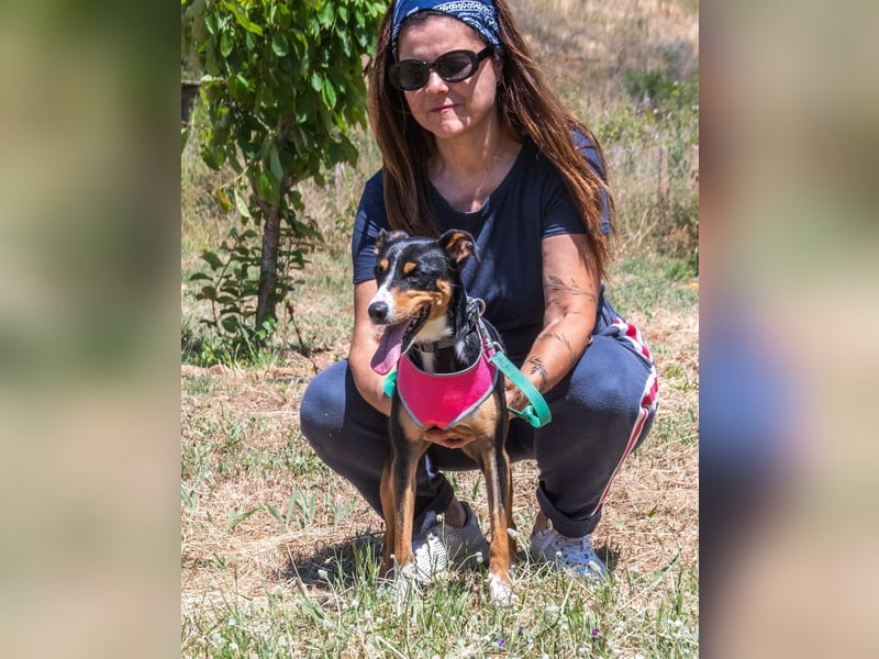 Vicky - bereit für ein neues Kapitel