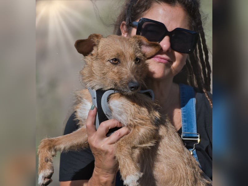 Ruggine – ein Seelchen