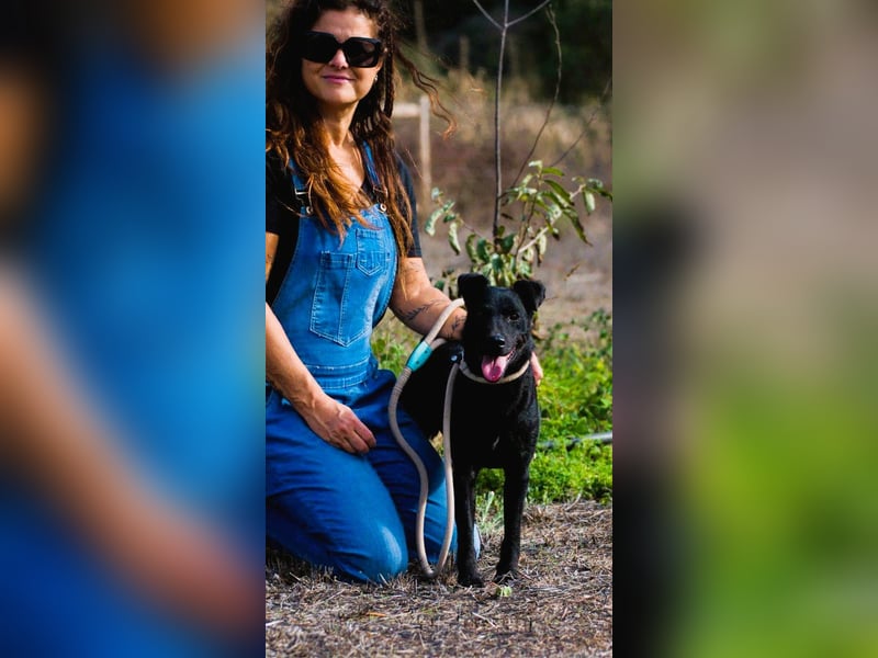 Matteus – ein sanfter Begleiter