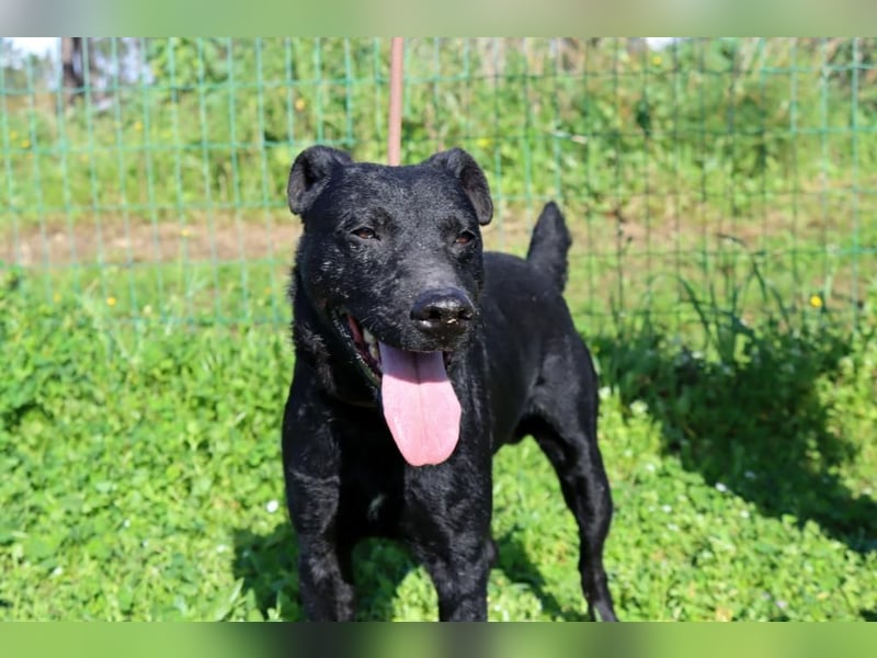 Matteus – ein sanfter Begleiter