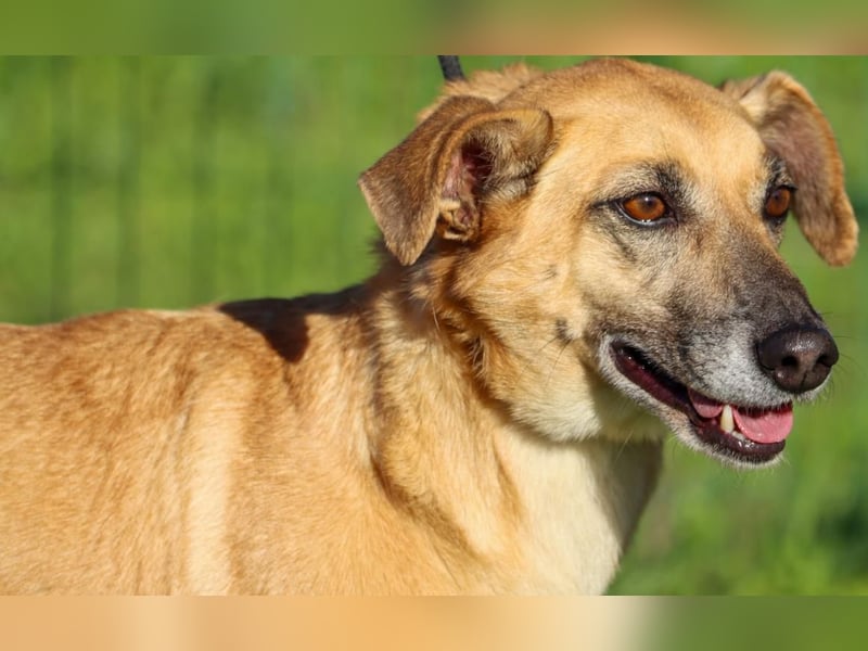 Sunny – eine selbstbewusste Dame