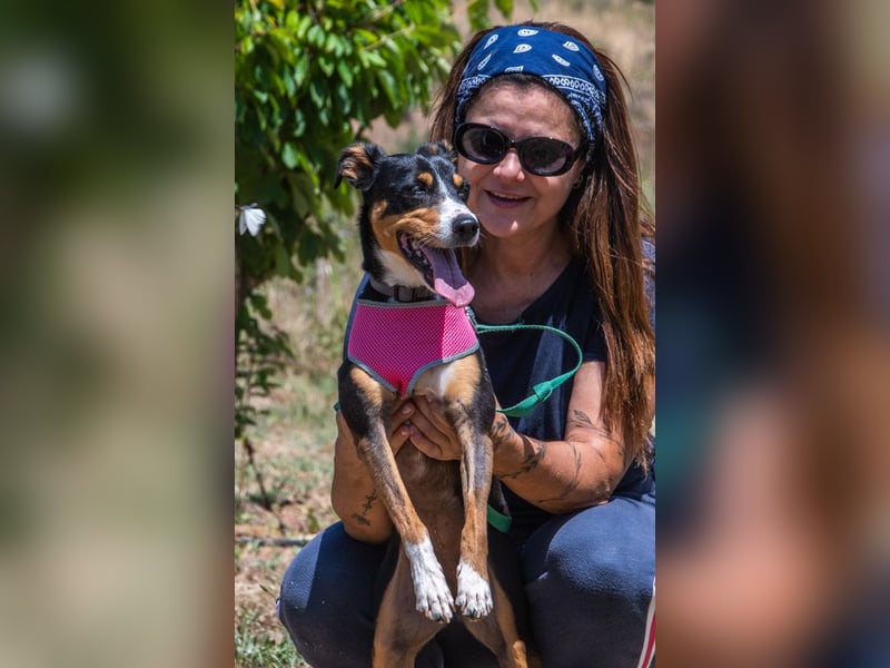 Vicky - bereit für ein neues Kapitel Vicky - bereit für ein neues Kapitel