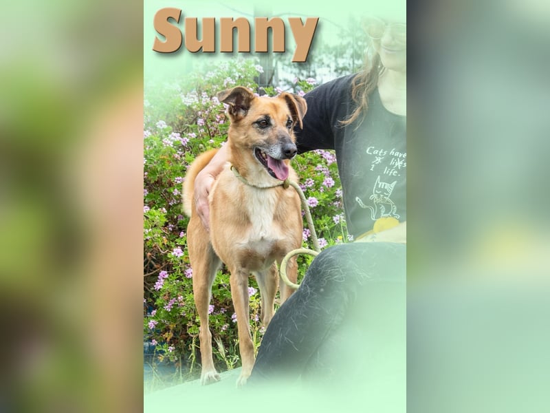 Sunny – eine selbstbewusste Dame
