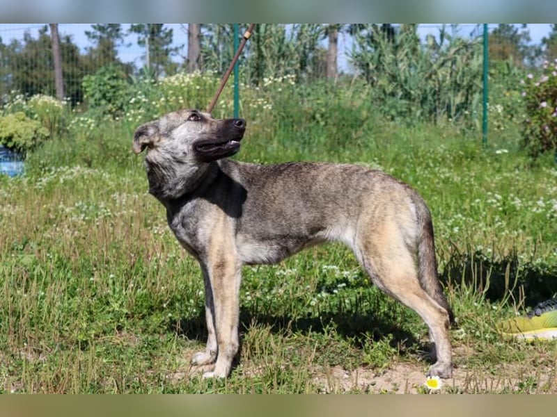 Jennifer – ein liebes Mädchen