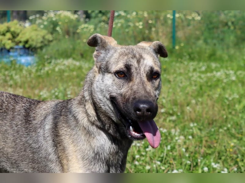 Jennifer – ein liebes Mädchen