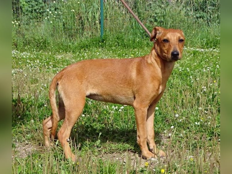 Ciana - eine sanfte Nachzüglerin