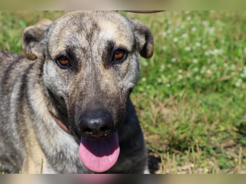 Jennifer – ein liebes Mädchen