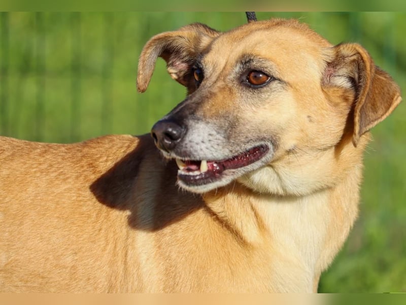 Sunny – eine selbstbewusste Dame