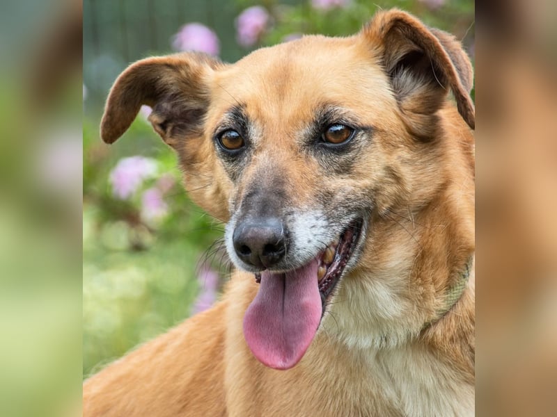 Sunny – eine selbstbewusste Dame