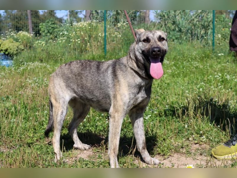 Jennifer – ein liebes Mädchen