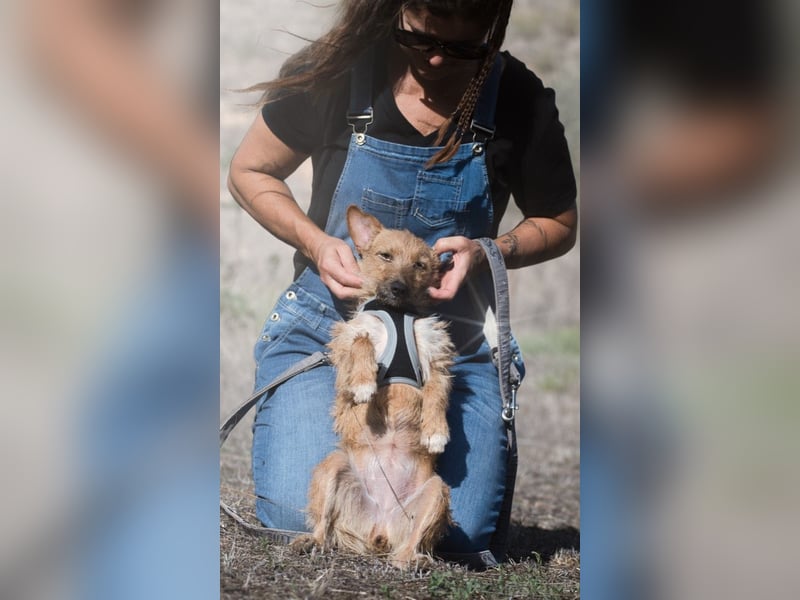 Ruggine – ein Seelchen