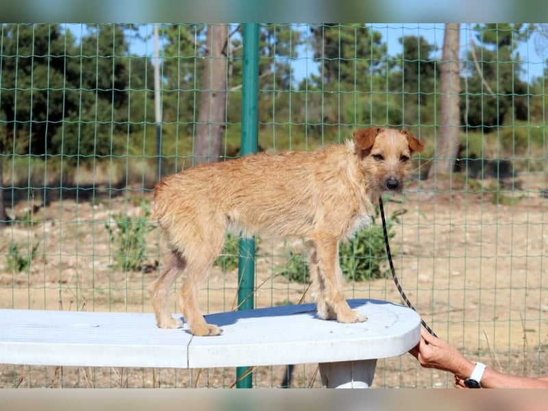 Ruggine – ein Seelchen