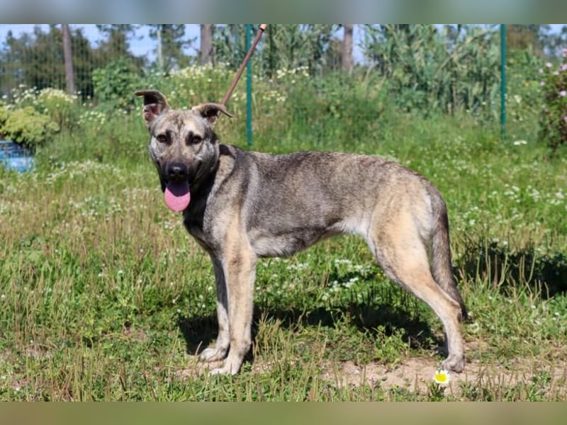 Jennifer – ein liebes Mädchen