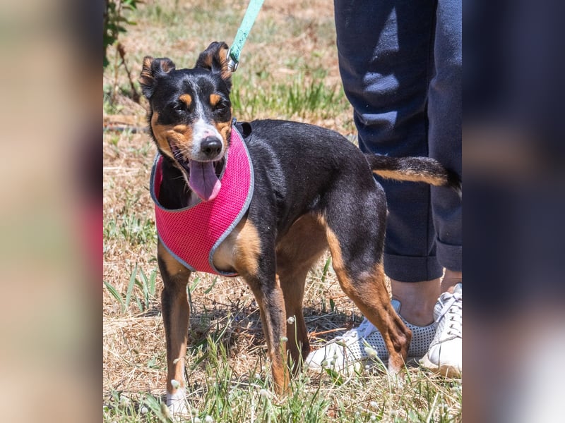 Vicky - bereit für ein neues Kapitel Vicky - bereit für ein neues Kapitel