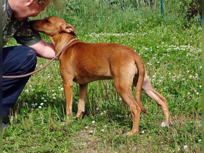 Ciana - eine sanfte Nachzüglerin