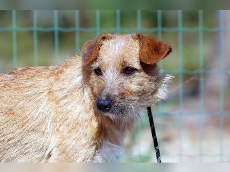 Ruggine – ein Seelchen