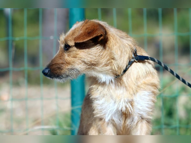 Ruggine – ein Seelchen