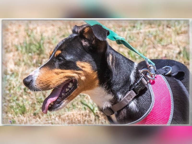 Vicky - bereit für ein neues Kapitel Vicky - bereit für ein neues Kapitel