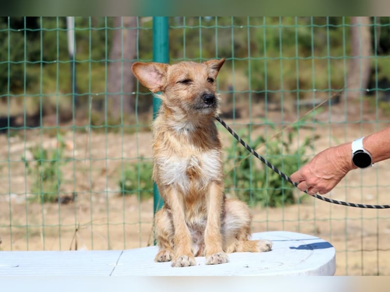 Ruggine – ein Seelchen