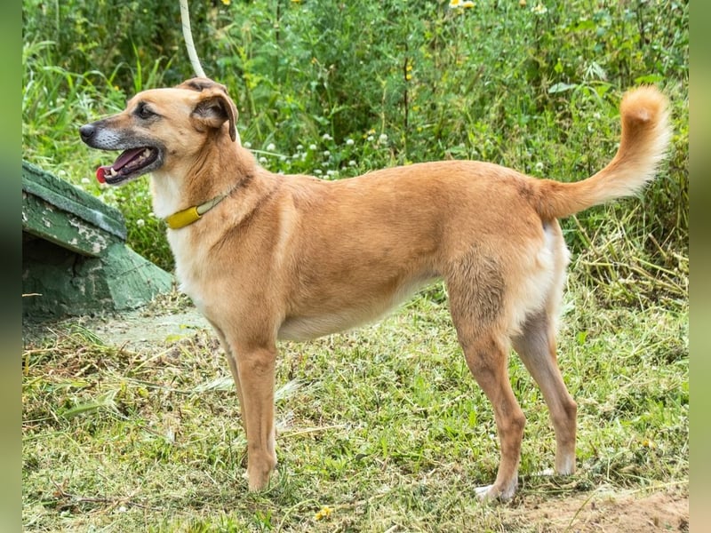 Sunny – eine selbstbewusste Dame