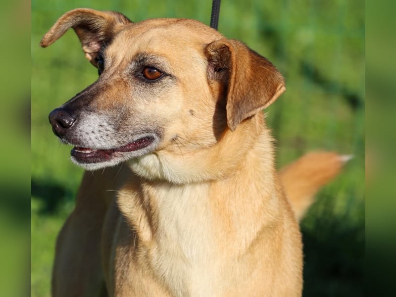 Sunny – eine selbstbewusste Dame