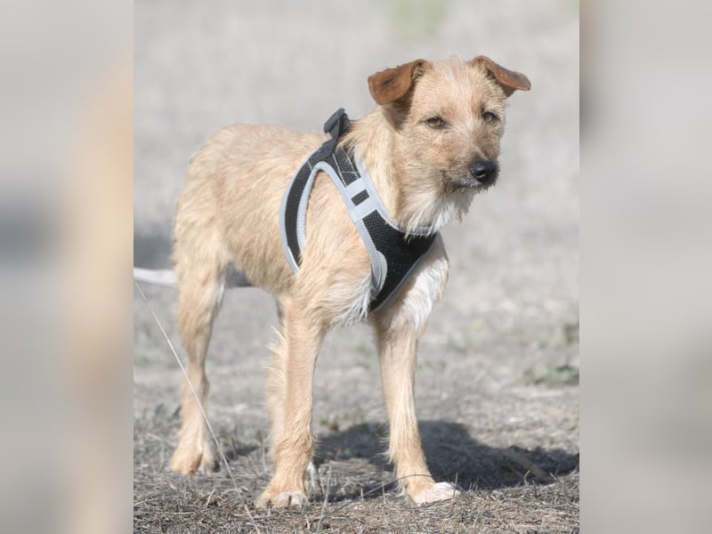 Ruggine – ein Seelchen