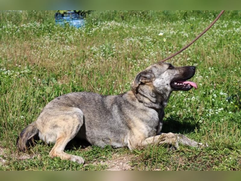 Jennifer – ein liebes Mädchen