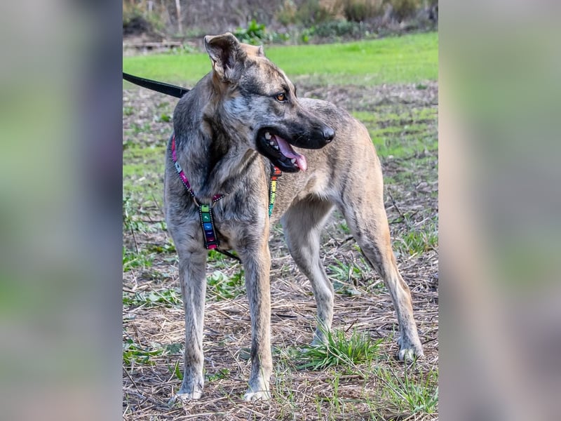Jennifer – ein liebes Mädchen