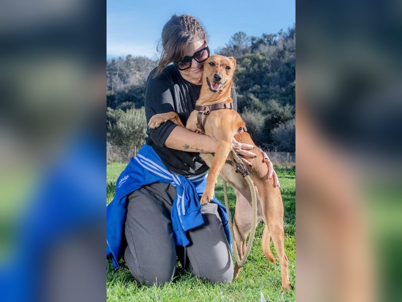 Ciana - eine sanfte Nachzüglerin