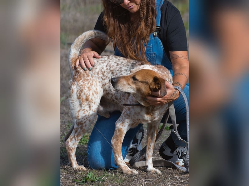 Duke – ein Schatz mit Handicap