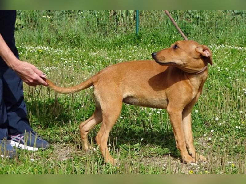 Ciana - eine sanfte Nachzüglerin