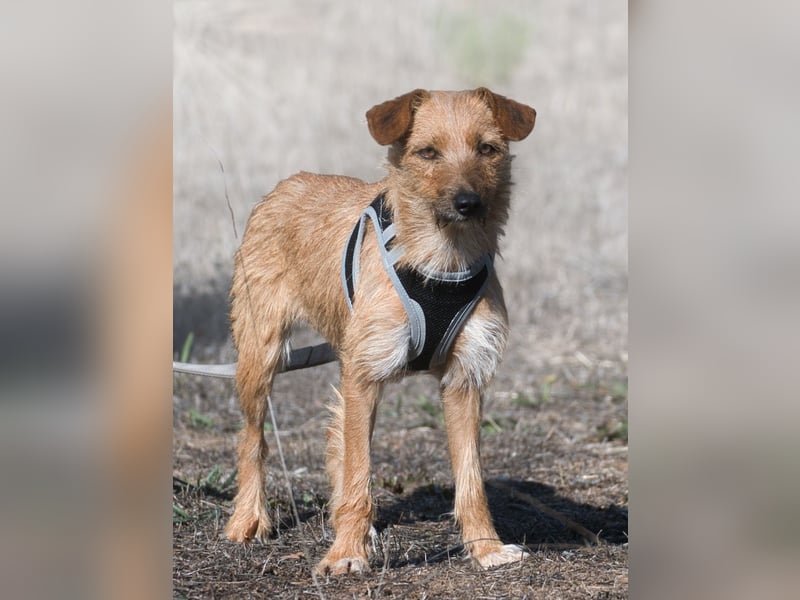 Ruggine – ein Seelchen