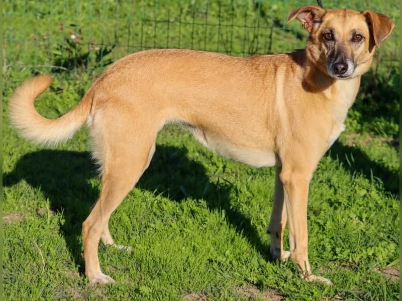 Sunny – eine selbstbewusste Dame