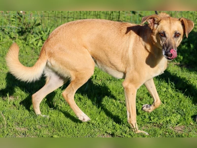 Sunny – eine selbstbewusste Dame