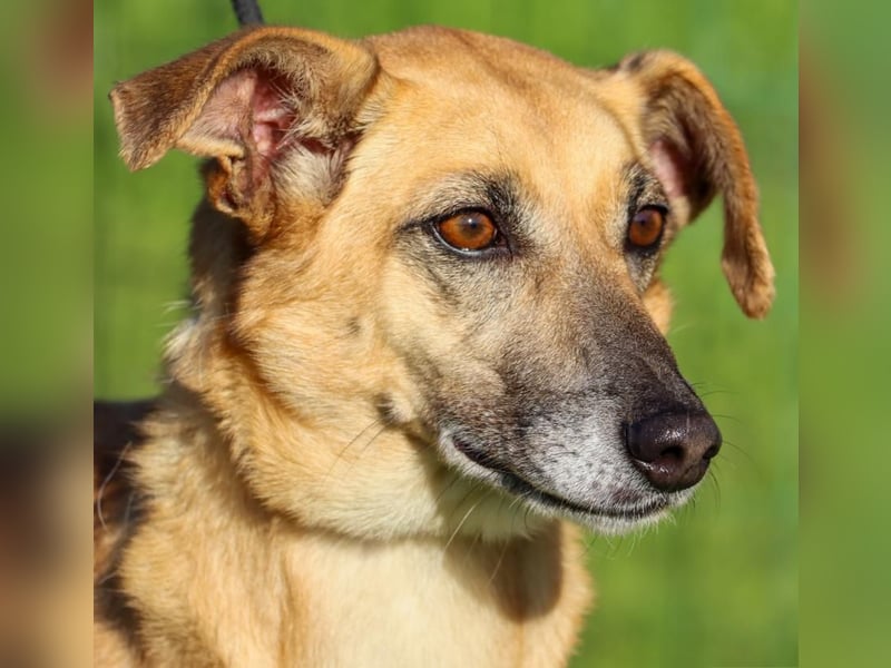 Sunny – eine selbstbewusste Dame