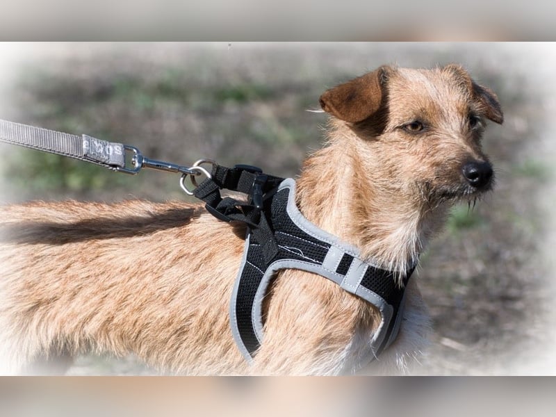 Ruggine – ein Seelchen