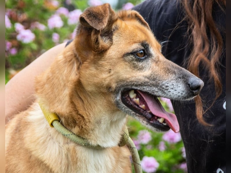 Sunny – eine selbstbewusste Dame