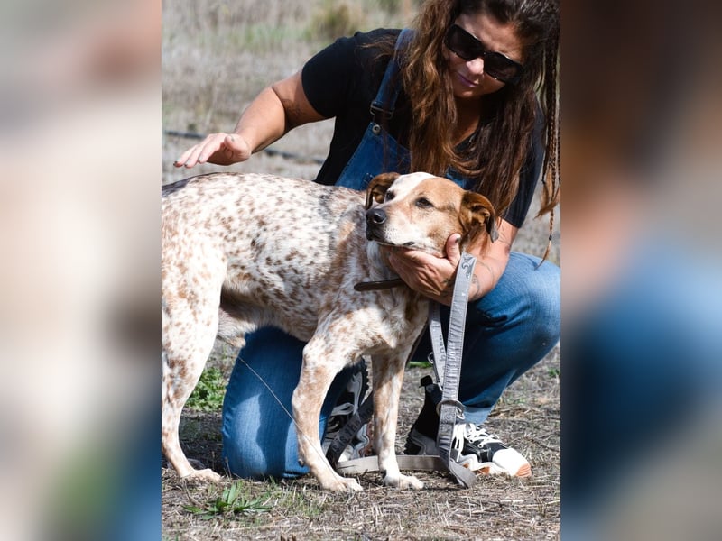 Duke – ein Schatz mit Handicap