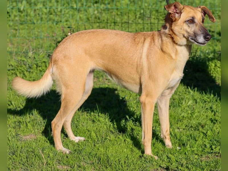 Sunny – eine selbstbewusste Dame