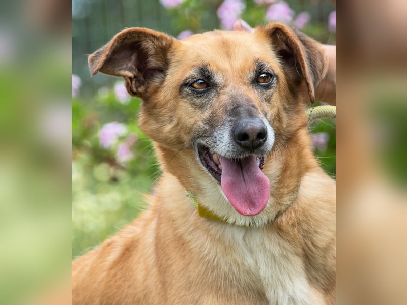 Sunny – eine selbstbewusste Dame