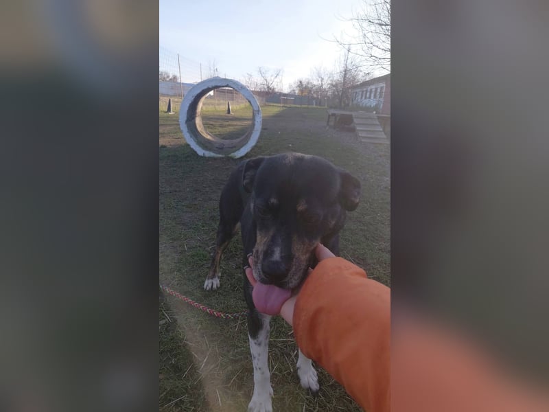 Sonnenschein Mia sucht ihr Für-immer-Zuhause 