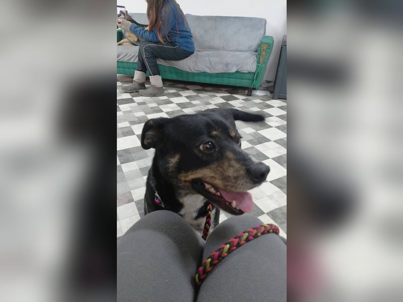 Sonnenschein Mia sucht ihr Für-immer-Zuhause 