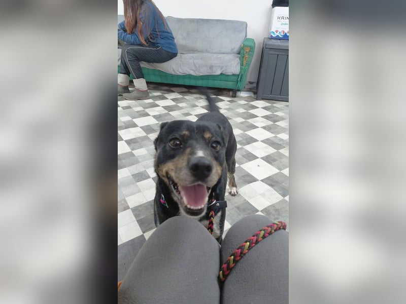 Sonnenschein Mia sucht ihr Für-immer-Zuhause 