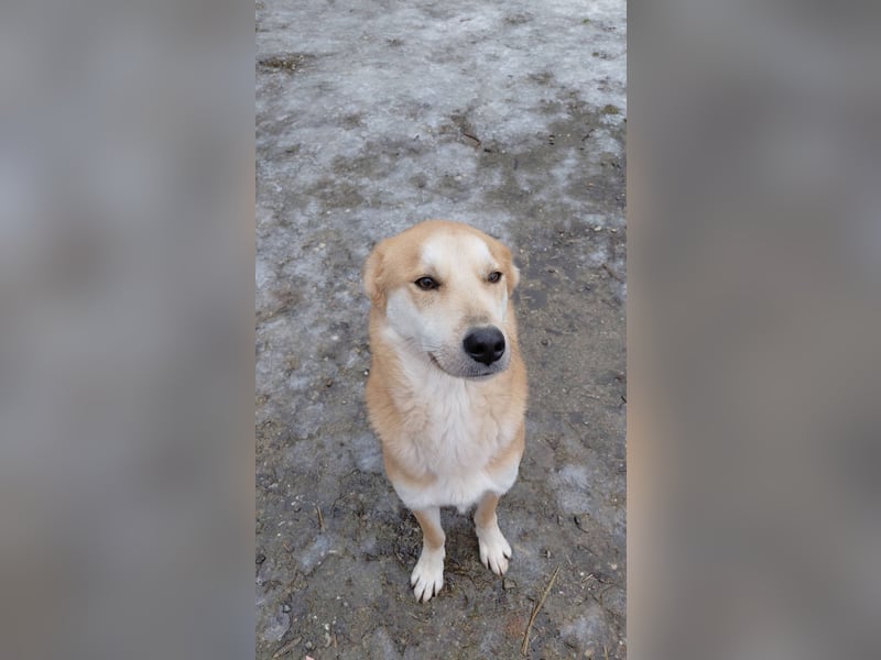 Sonnenschein Timmy sucht ihr Zuhause