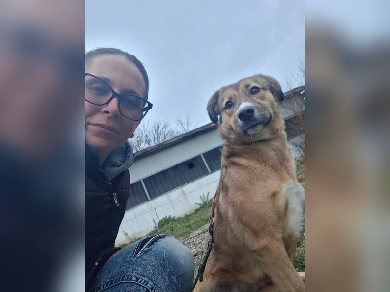 Bitte rette mich  im Shelter ist es kalt und ich habe Angst